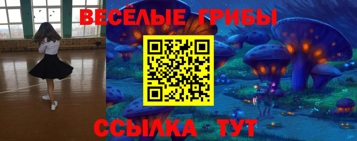 Сунжа  Галлюциногенные грибы Psilocybe  Псилоцибиновые грибы Psilocybine cubensis  Вход с VPN 