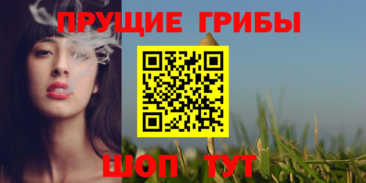 Галлюциногенные грибы Psilocybine cubensis Сунжа